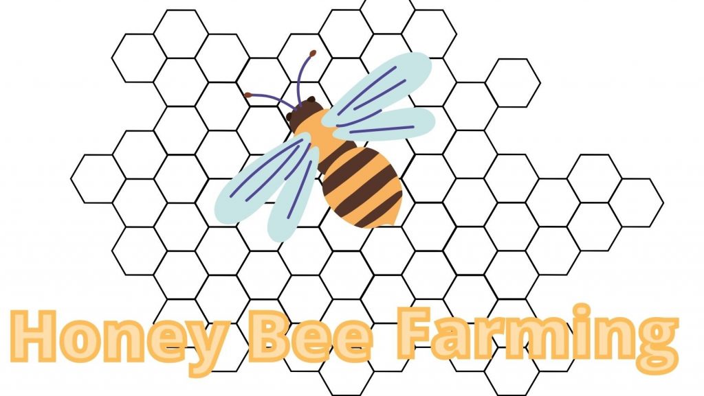 Honey Bee Farming, Advantages & Environmental Precaution - Agro Pro