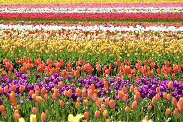 Floriculture Facts - How to Plant Flowers From Seed - Agro Pro