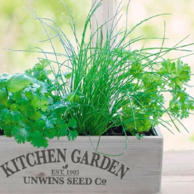 indoor herb garden kit
